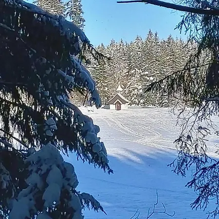 Ferienwohnung Dorothee Schoenwald im Schwarzwald