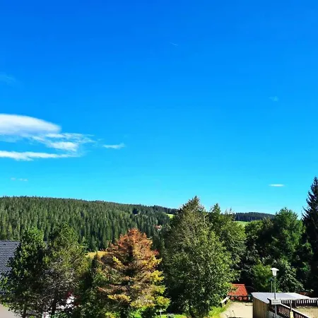 Ferienwohnung Dorothee * Schoenwald im Schwarzwald