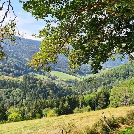 Ferienwohnung Dorothee Schoenwald im Schwarzwald